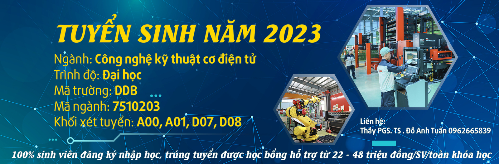 hinhanh